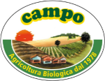 Campo